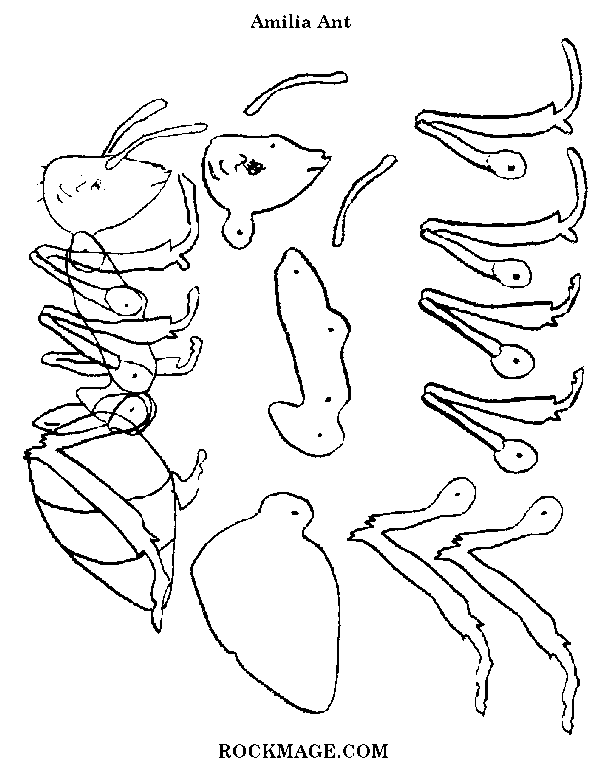 [Ant/Amilia (pattern)]